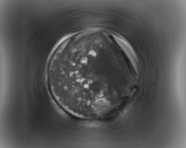 X0000085220811200703301702