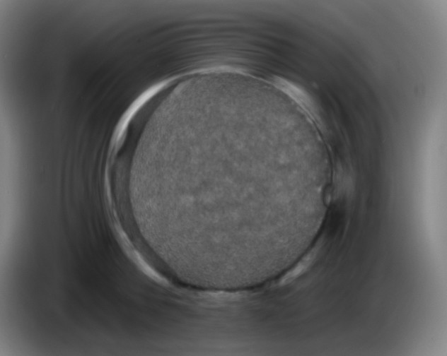 X0000085220812200703301702