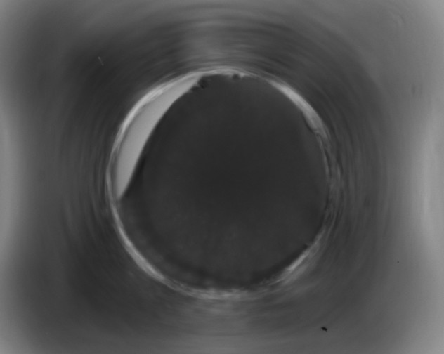 X0000085220813200703301702