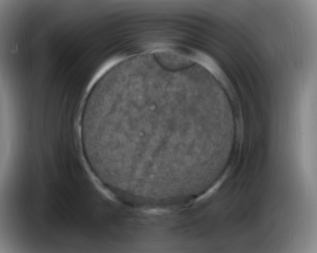 X0000085220814200703301702