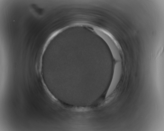 X0000085220815200703301702