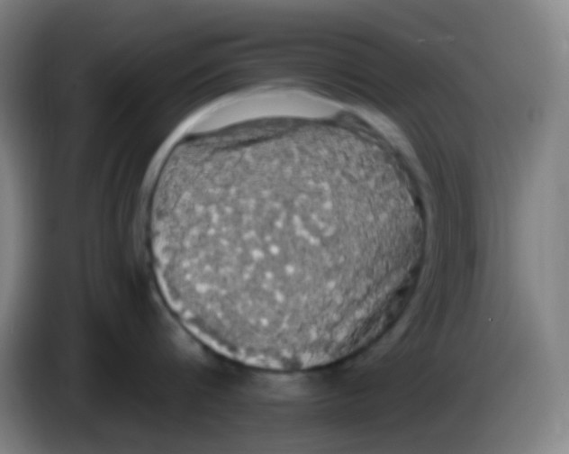 X0000085220816200703301702