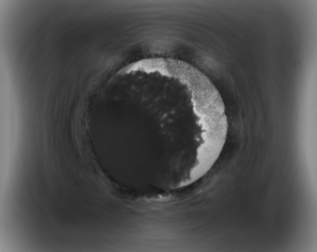 X0000085220817200703301701