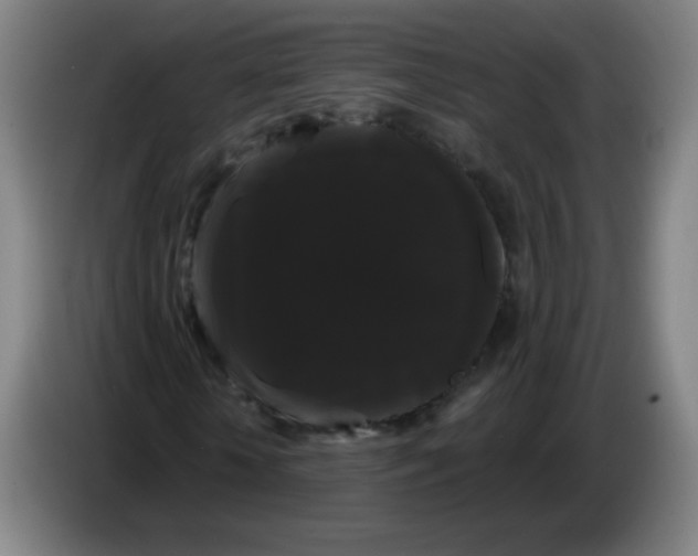 X0000085220818200703301701