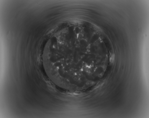 X0000085220819200703301701
