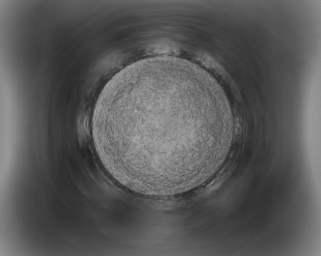 X0000085220820200703301701