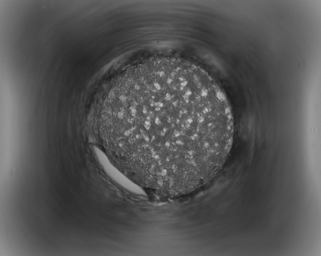 X0000085220821200703301701