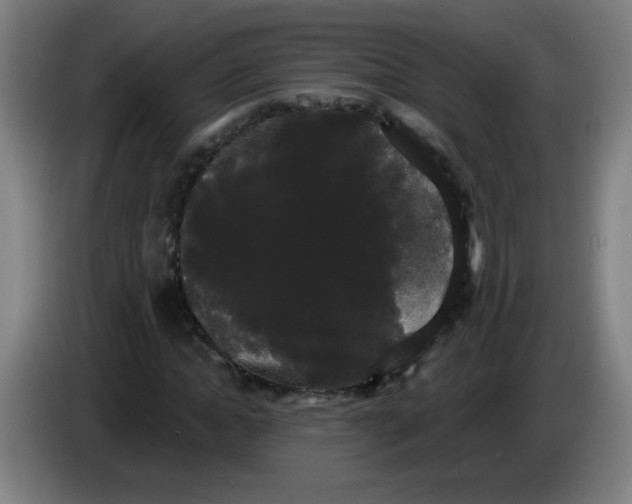 X0000085220822200703301701