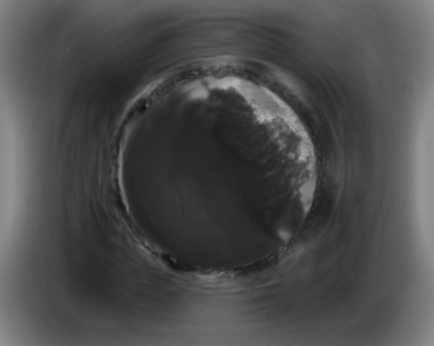 X0000085220823200703301701
