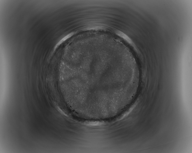 X0000085220826200703301701