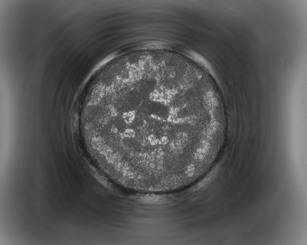 X0000085220827200703301701
