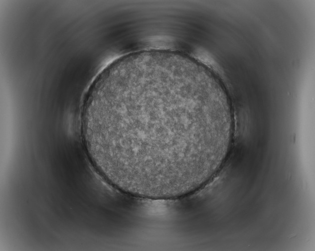 X0000085220828200703301701