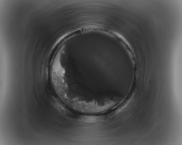 X0000085220829200703301701