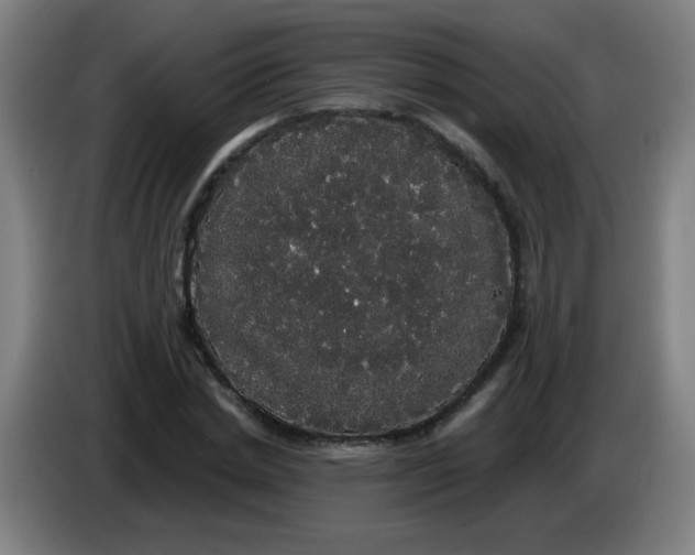 X0000085220830200703301701