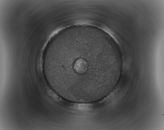 X0000085220832200703301701