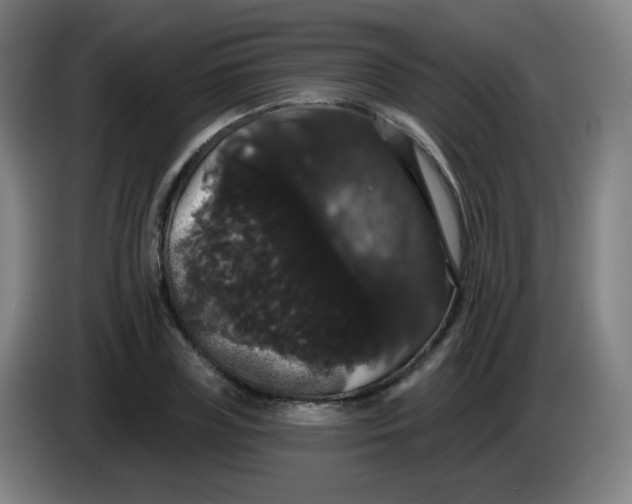 X0000085220835200703301701