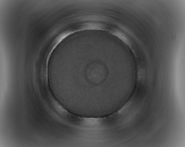 X0000085220836200703301701