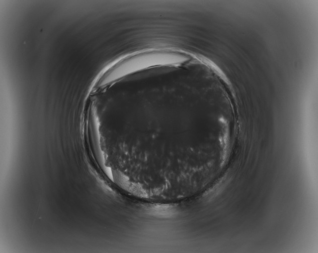 X0000085220839200703301701