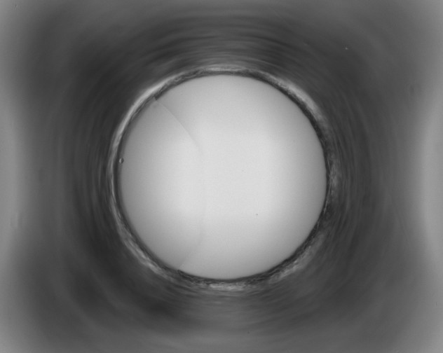 X0000085220840200703301701