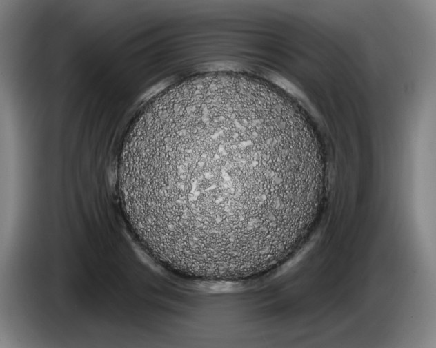 X0000085220841200703301701