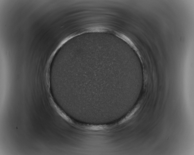X0000085220843200703301701