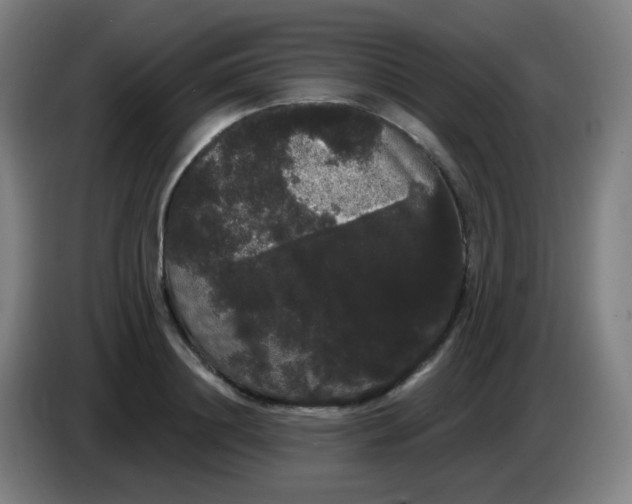 X0000085220844200703301701