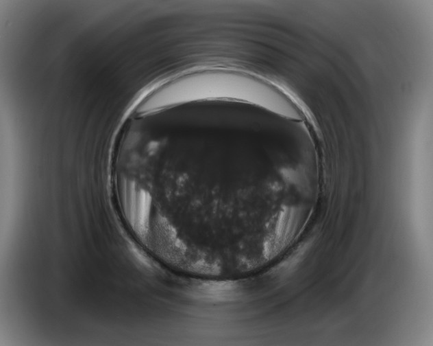 X0000085220845200703301701