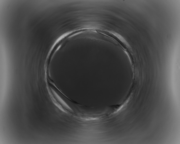 X0000085220846200703301702