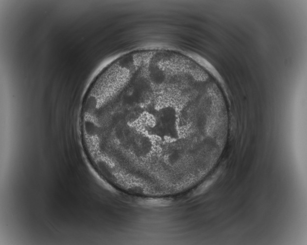 X0000085220847200703301702
