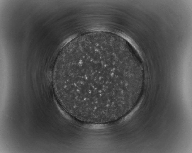 X0000085220849200703301702