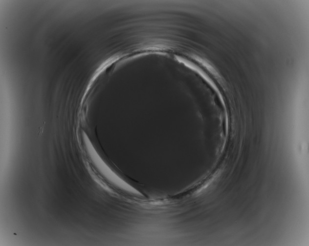 X0000085220850200703301702