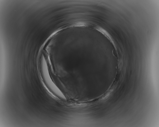 X0000085220851200703301702