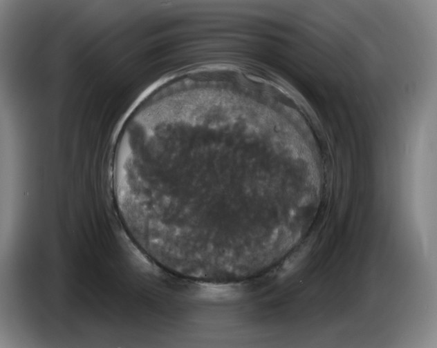 X0000085220852200703301702