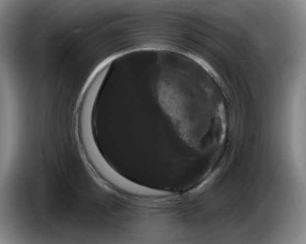X0000085220854200703301702