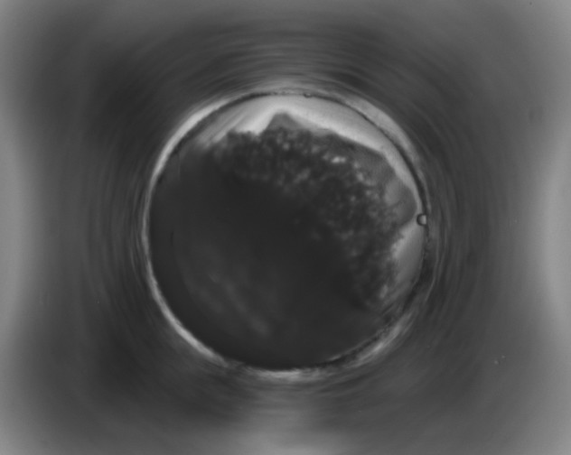 X0000085220855200703301702