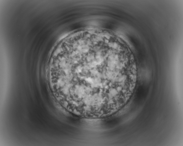 X0000085220856200703301702