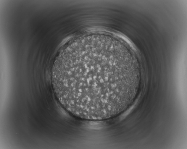 X0000085220857200703301702