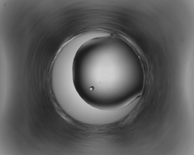 X0000085220858200703301702