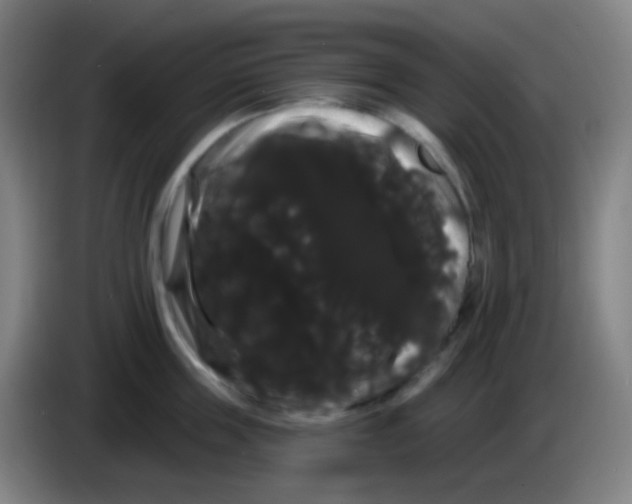 X0000085220859200703301702