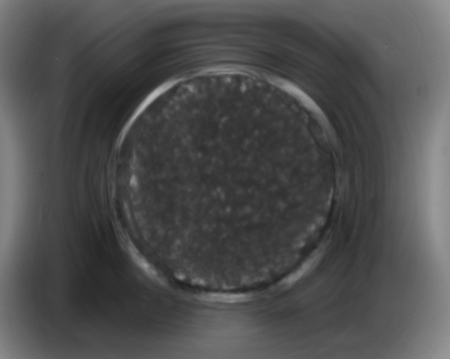 X0000085220860200703301702