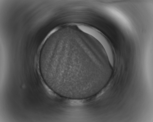 X0000085220861200703301702