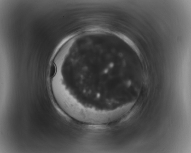 X0000085220863200703301702