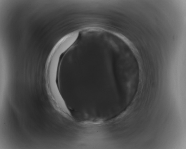 X0000085220864200703301702