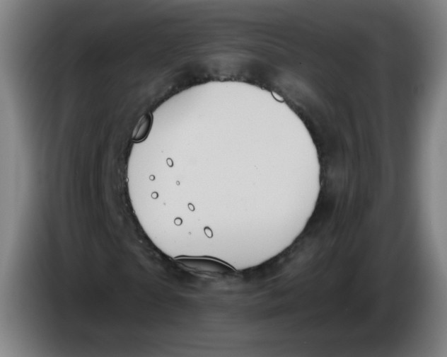 X0000085220865200703301701