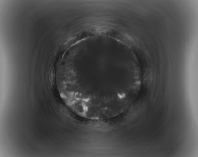 X0000085220866200703301701