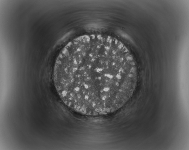 X0000085220870200703301701