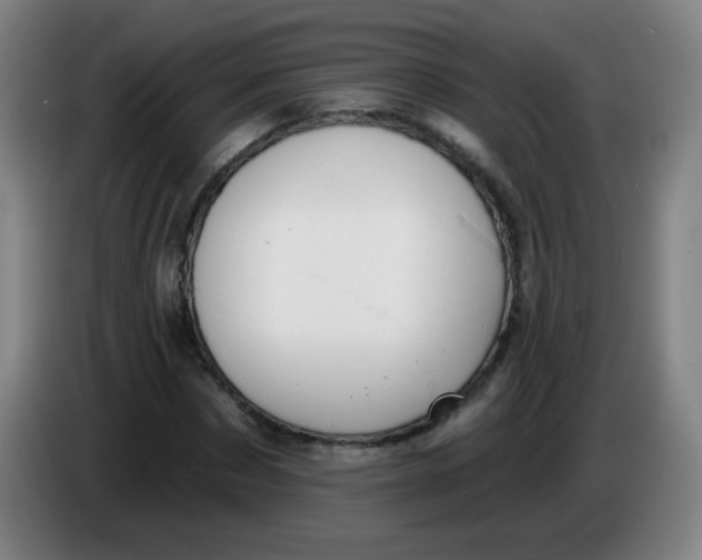X0000085220873200703301701