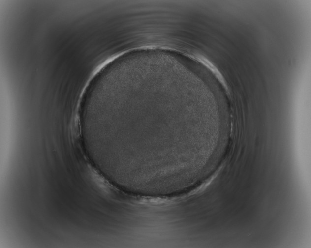 X0000085220876200703301701