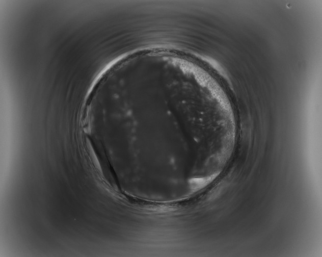 X0000085220879200703301701