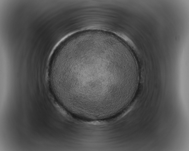 X0000085220880200703301701